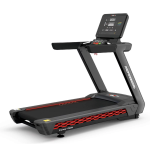 Профессиональная беговая дорожка UltraGym UG-Power 009